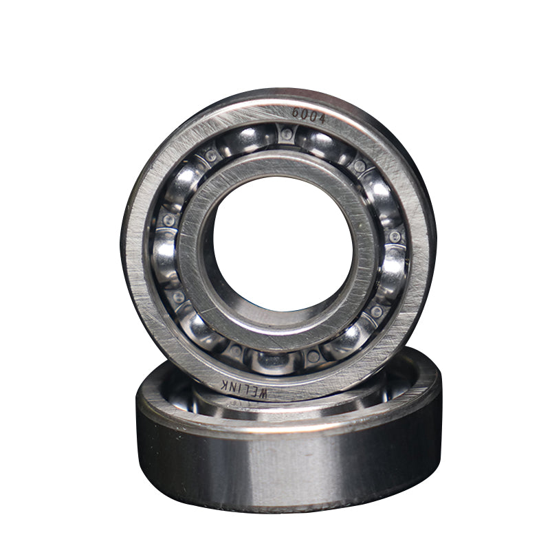 Single - row Deep Groove Ball Bearing 6004