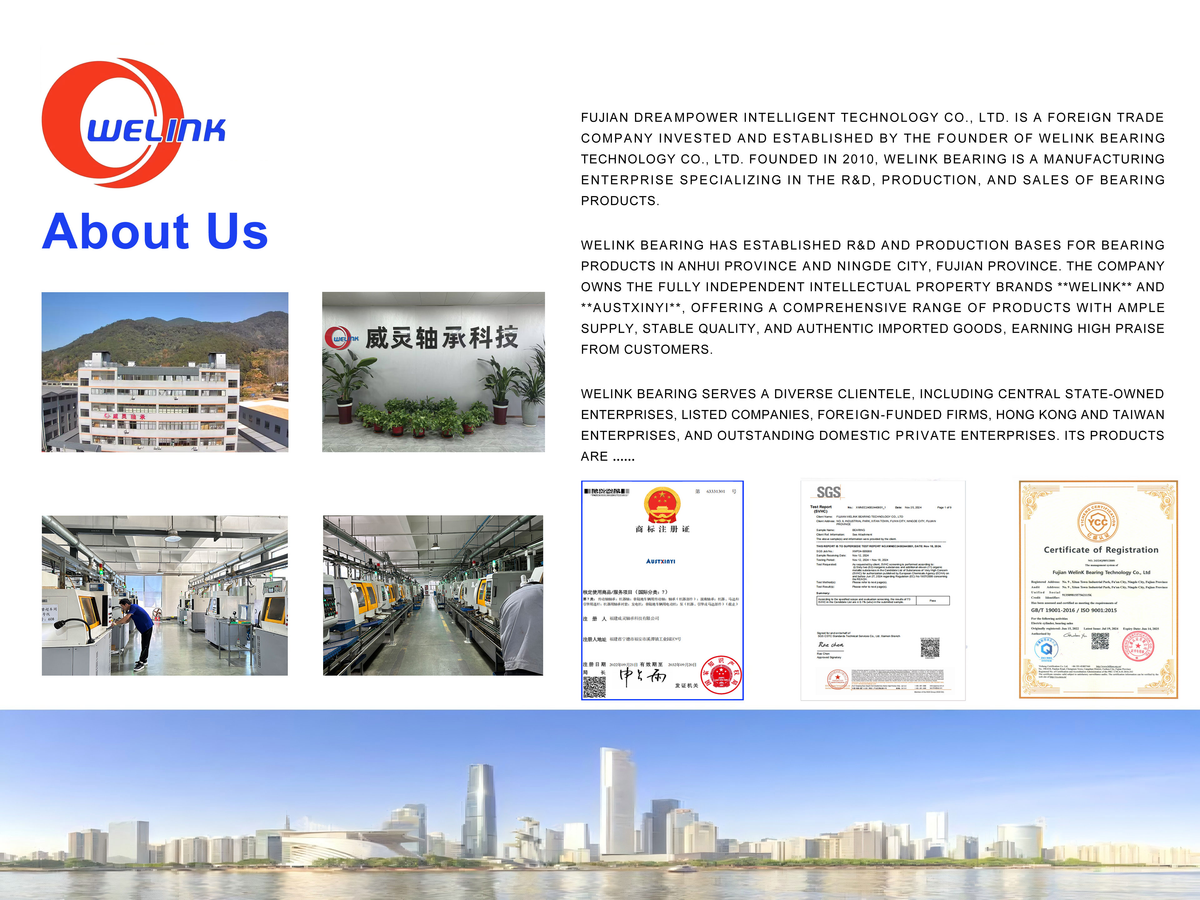 welinkbearing.com